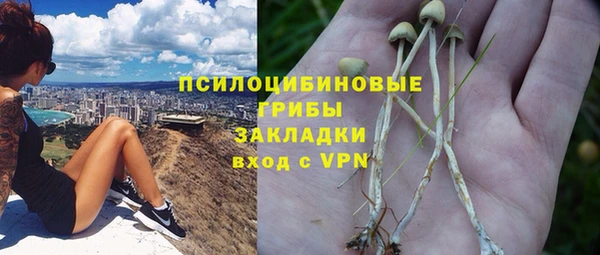 каннабис Арсеньев