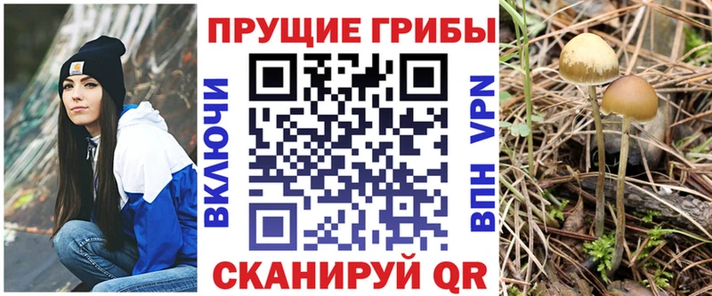 Псилоцибиновые грибы мицелий  наркотики  Нерюнгри 