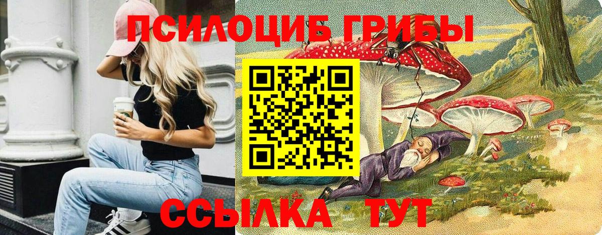  COCAIN Нерюнгри