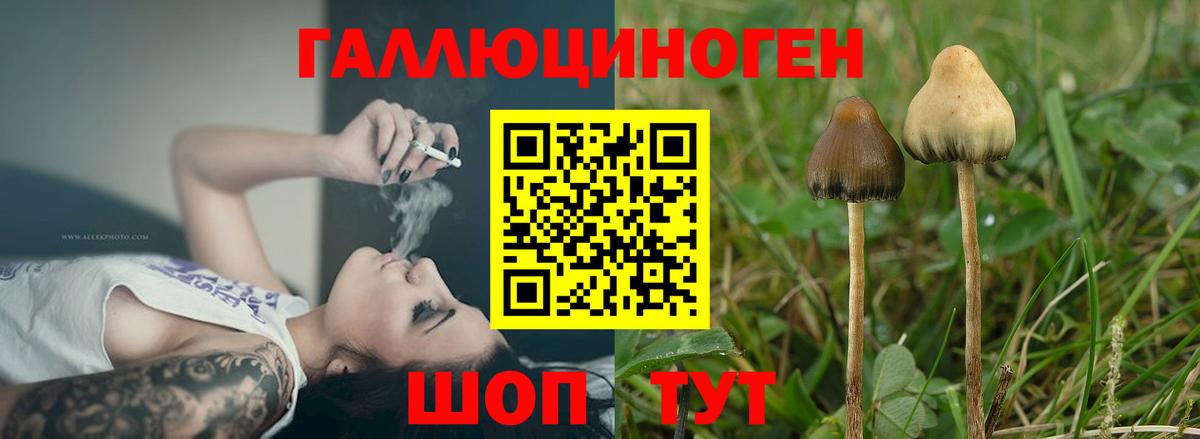 Псилоцибиновые грибы мухоморы  Вход с VPN  Нерюнгри  Псилоцибиновые грибы Magic Shrooms 